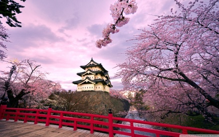 cherry_blossoms_japan_2-wallpaper-1680x1050